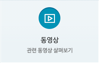동영상