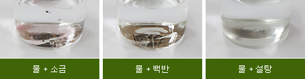물+소금 , 물+백반 , 물+설탕