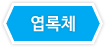 드래그 이미지 - 엽록체