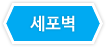 드래그 이미지 - 세포벽