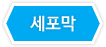 드래그 이미지 - 세포막