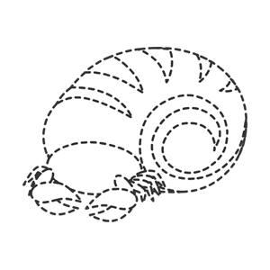 동물캐릭터 라인